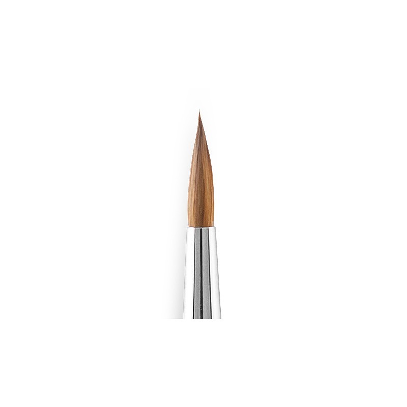 Premium Dental Kolinsky Brush Set – 5pcs #0 #2 #4 #6 #8 – Precision Dental Tools