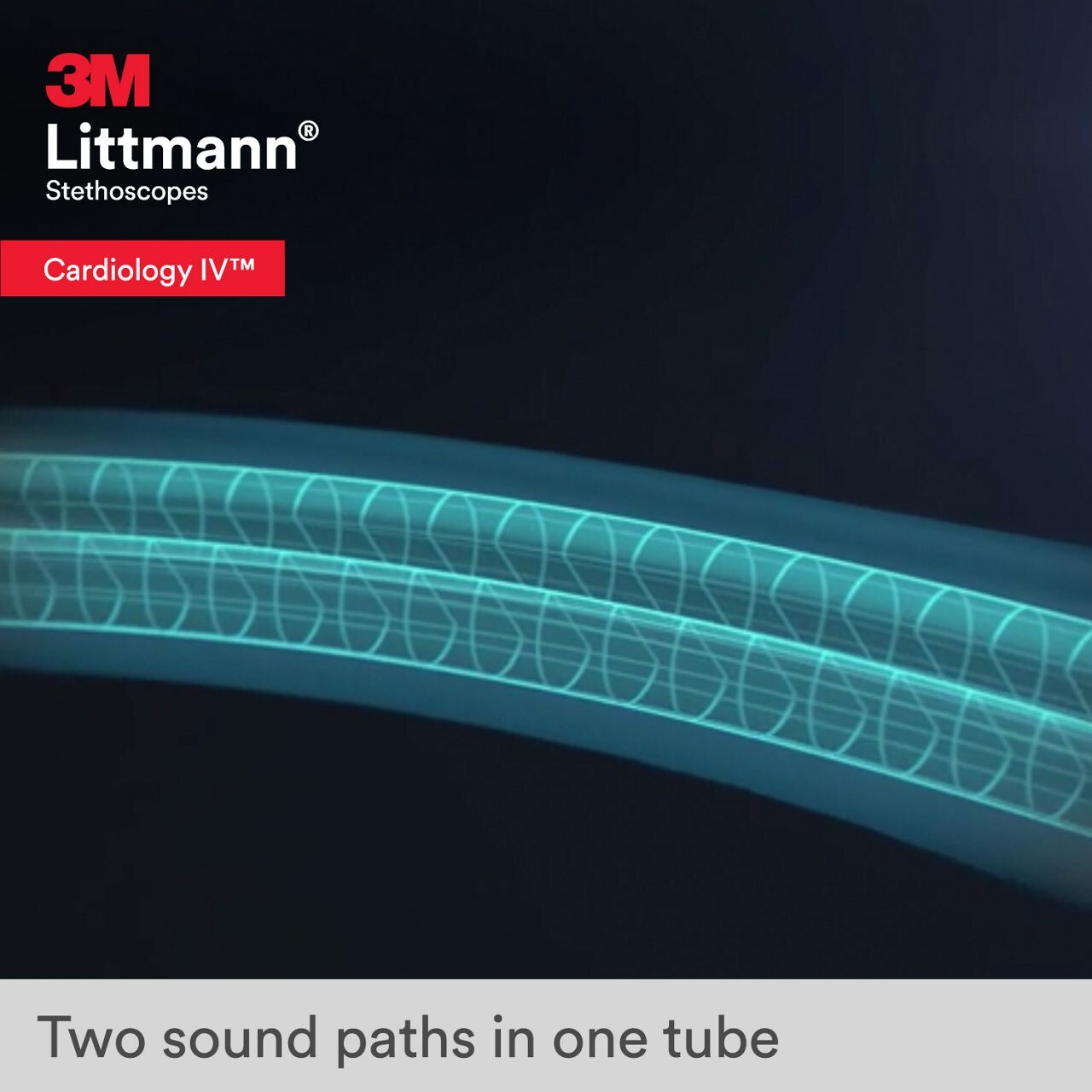 3M Littmann® Cardiology IV Stethoscope Gray Tube Smoke Stem 6238 NEW