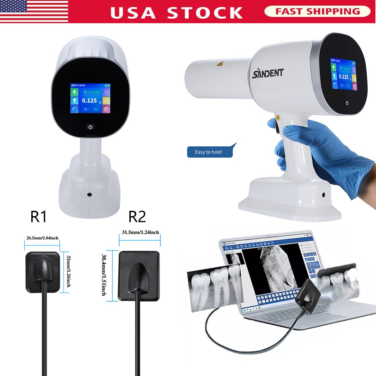Dental Hygiene Prophy Handpiece 360° Straight Nose Cone 4:1 Air Motor 2Hole B2