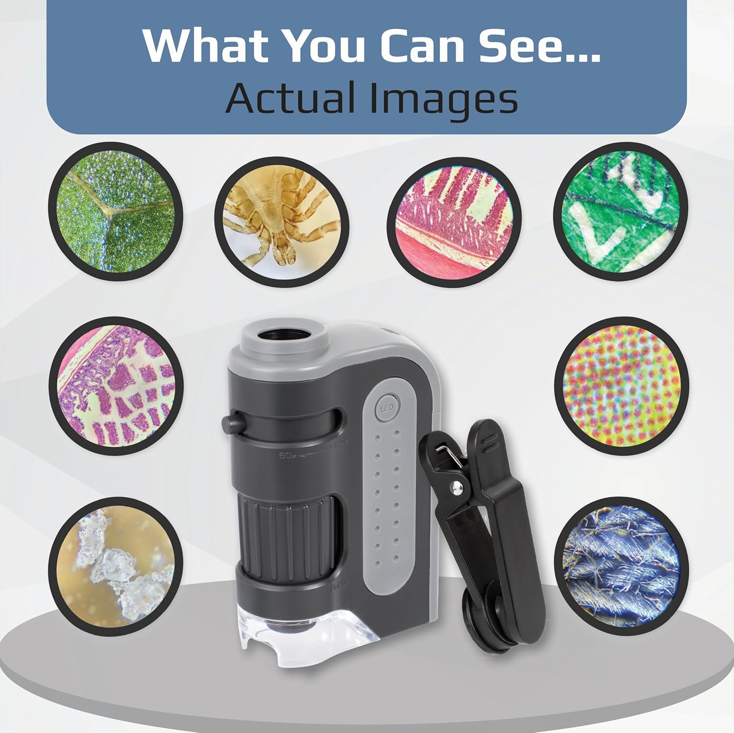Carson Microbrite Portable Digital Pocket Microscope for Kids or Adults, Accurat