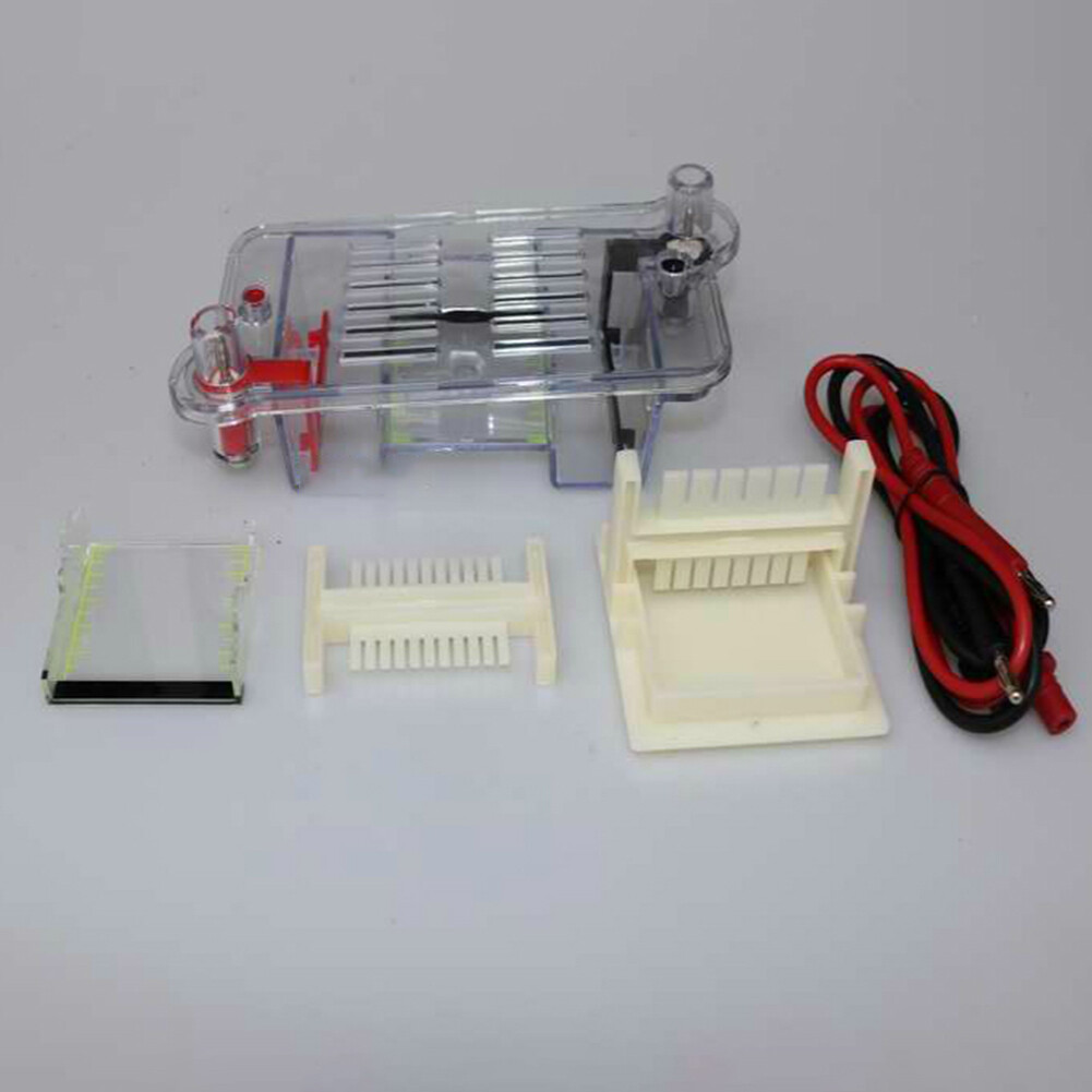 Horizontal Electrophoresis Tank High School Biological Equipment 122-3122 27022