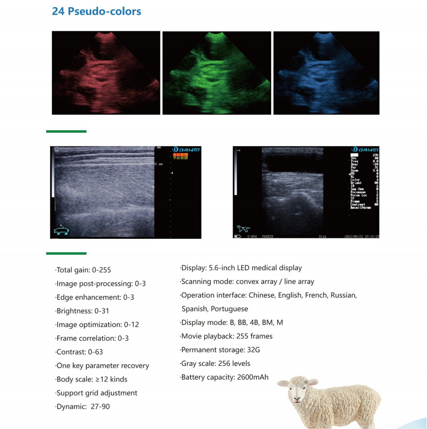 Veterinary Ultrasound machine Vet ultrasound Scanner 7.5Rectal Probe For animals