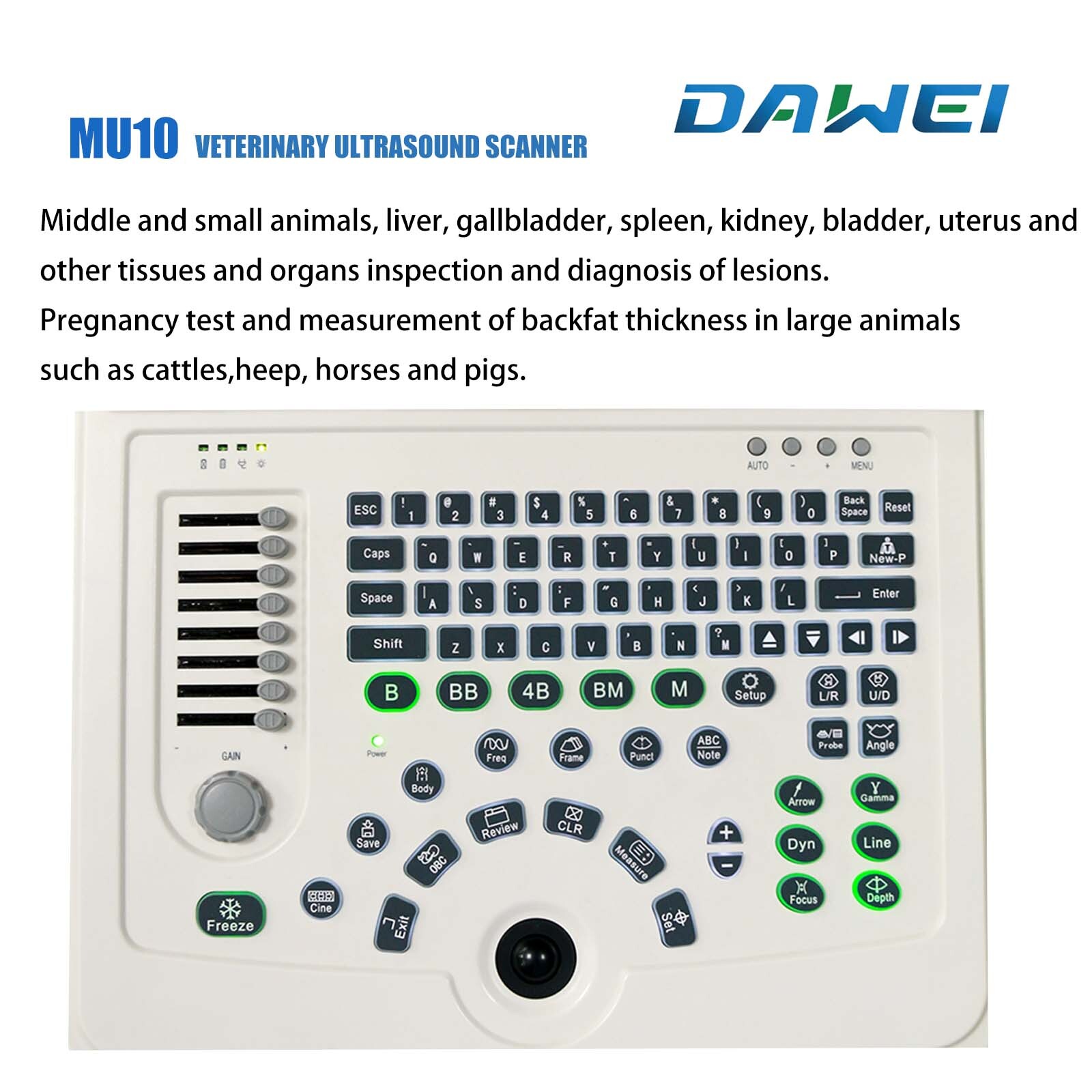 DAWEI Laptop Vet Ultrasound Machine Scanner Convex For Horse,Cow,Large Animals