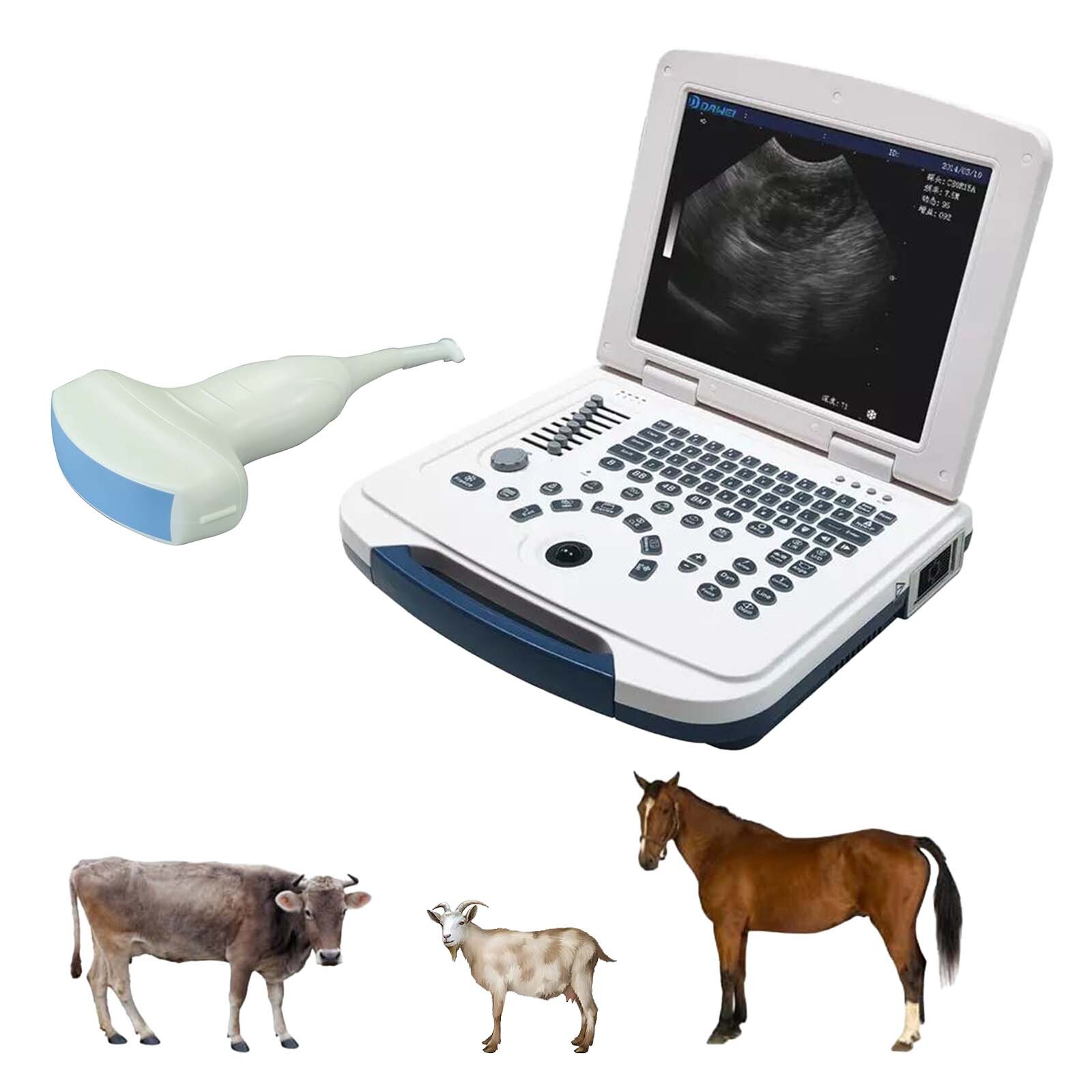 Laptop Veterinary Ultrasound Machine Scanner Convexprobe for Pet Vet Pregnancy