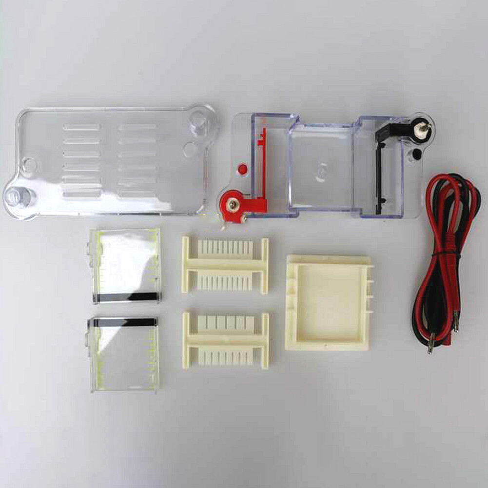 Horizontal Electrophoresis Tank High School Biological Equipment 122-3122 27022