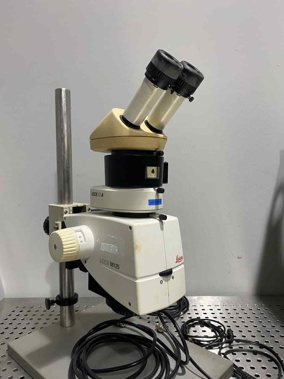 Leica M125 Stereo Microscope + IC A Video Camera + 327616 1.5x Illuminator