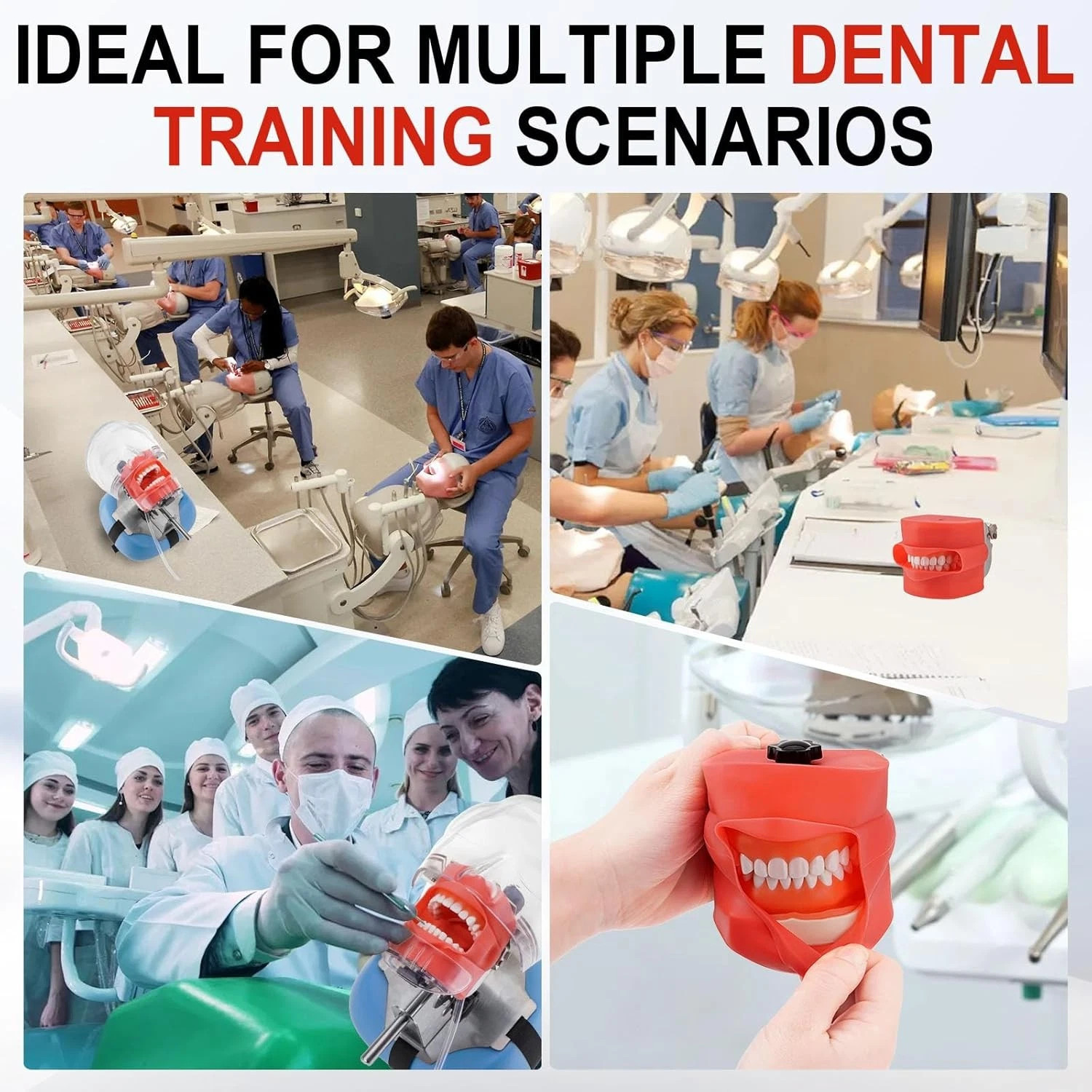 Dental Simulator Dental Mannequin Dental Head Model Dental Teeth Teaching Model