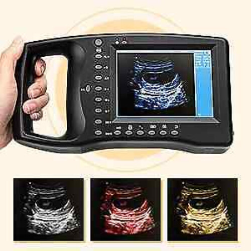 Handheld Mechanical Probes Ultrasound Machine for Pregnant Cows Goats Veterinary