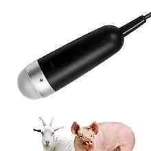 Handheld Mechanical Probes Ultrasound Machine for Pregnant Cows Goats Veterinary
