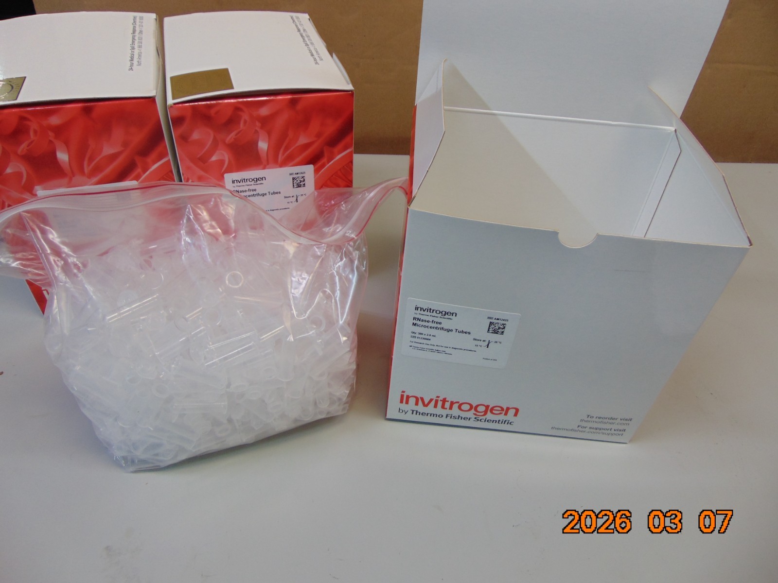 1 BOX OF 500 Thermo Invitrogen AM12425 RNase-Free 2 mL Microfuge Tubes