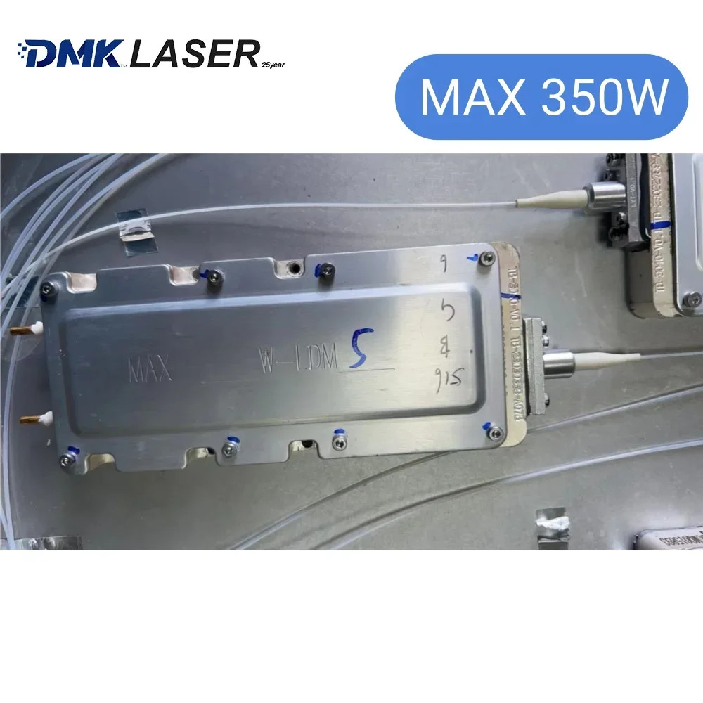 Raycus MAX IPG Laser Pump Source 40-1000W Diode With 0.5M Optical Fiber For Cut