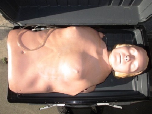 Laerdal ResusciAnne Torso in Large Hard Case made in Norway