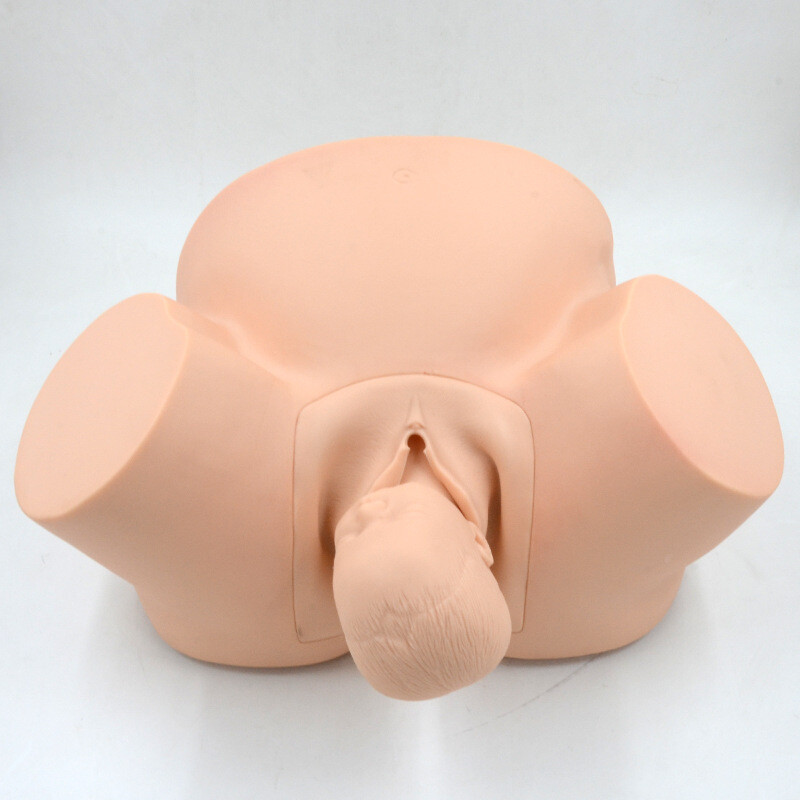 1:1 Midwifery Teaching Model Demonstration Of Childbirth