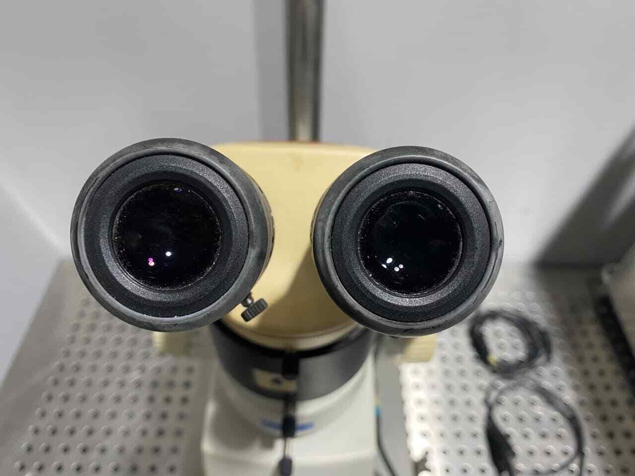 Leica M125 Stereo Microscope + IC A Video Camera + 327616 1.5x Illuminator