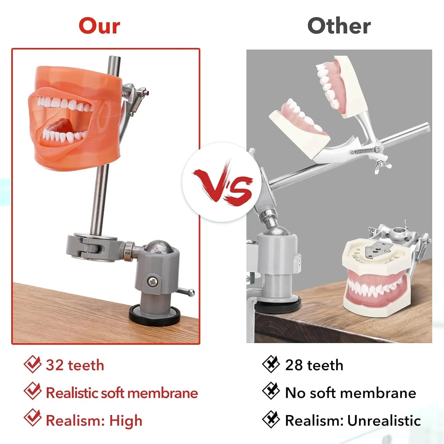 Dental Simulator Dental Mannequin Dental Head Model Dental Teeth Teaching Model