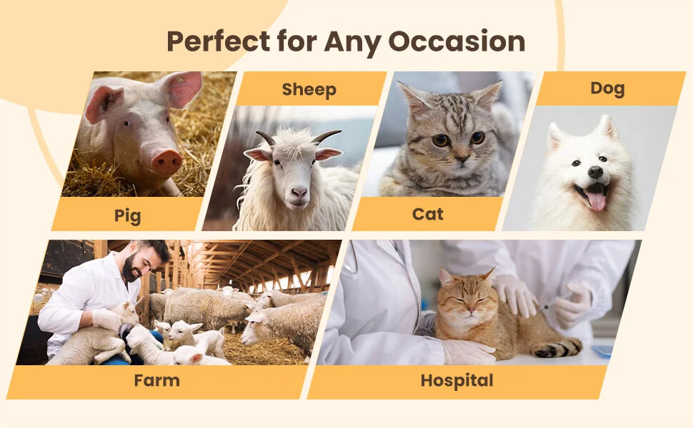 Handheld Mechanical Probes Ultrasound Machine for Pregnant Cows Goats Veterinary