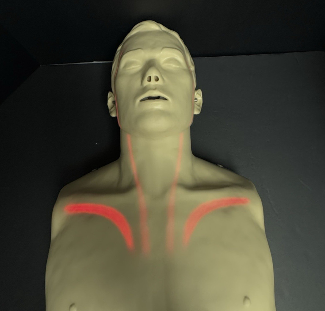 Innosonian Brayden CPR Manikin Adult Training Dummy with Red Indicator Lights
