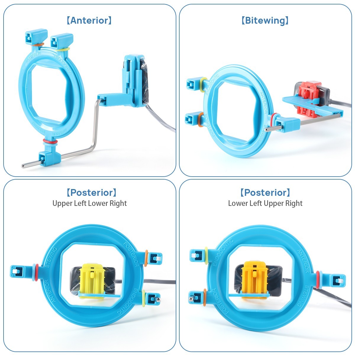 Posicionador de Rayos X Dental Portasensor de Rayos X Digital Posicionamiento