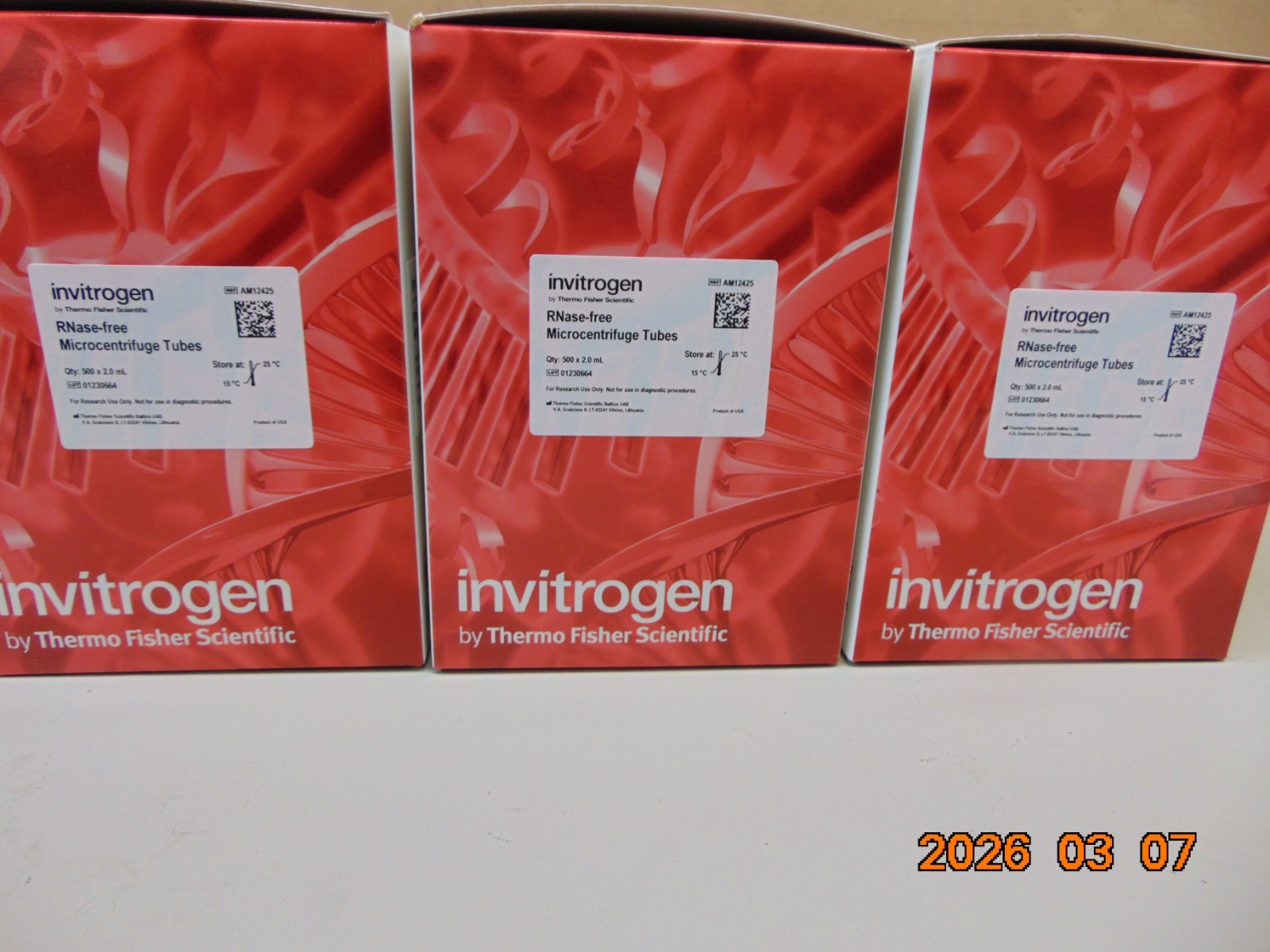 1 BOX OF 500 Thermo Invitrogen AM12425 RNase-Free 2 mL Microfuge Tubes