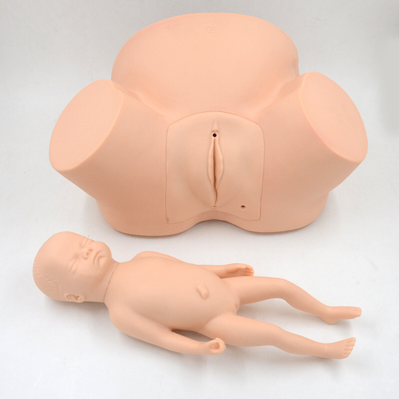 1:1 Midwifery Teaching Model Demonstration Of Childbirth