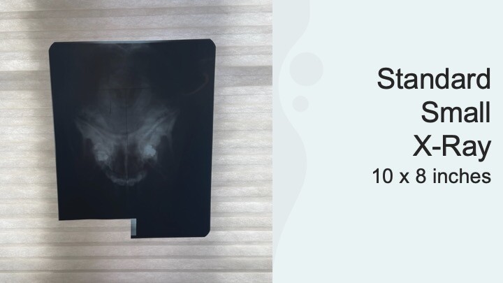 SCRAP X-RAY FILM – 1 LB, 3 LB, 5 LB, 10 LB (Silver Recovery/Teaching) – EXPOSED