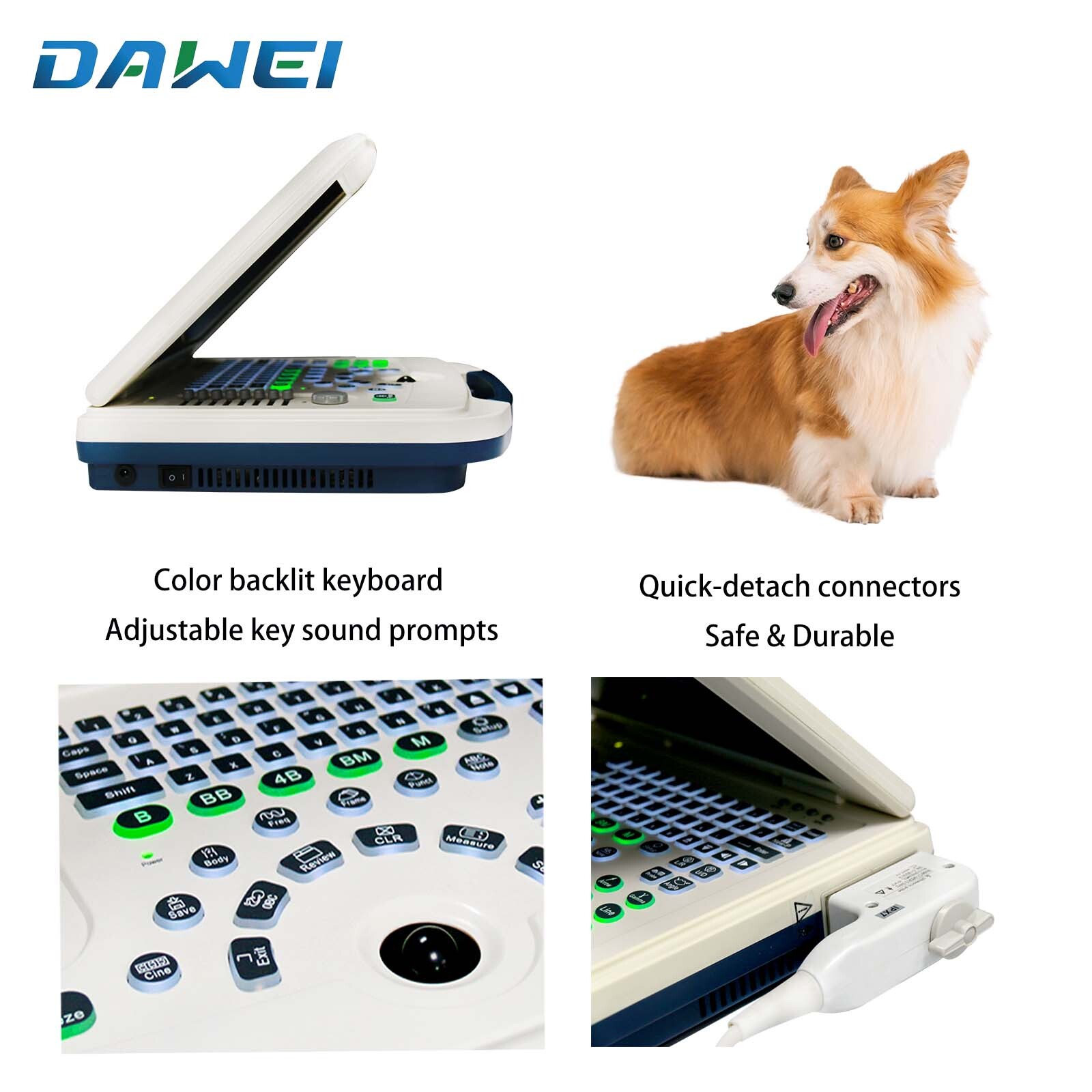 DAWEI Laptop Vet Ultrasound Machine Scanner Convex For Horse,Cow,Large Animals
