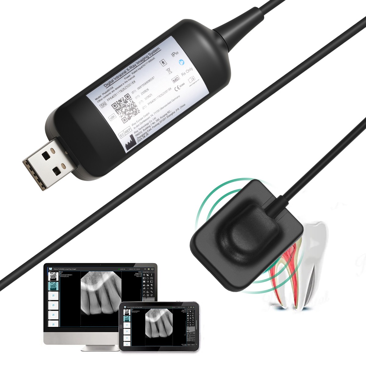 Size 1.5 Dental ray X Image System Digital Rayos Sensor Fit TWAIN Drive +Holder